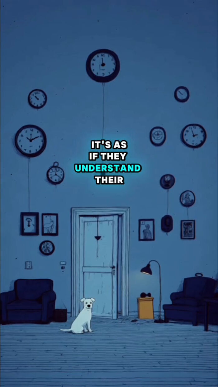 Animated scene of a white dog sitting in a room with clocks on the wall symbolizing time after their human passes.