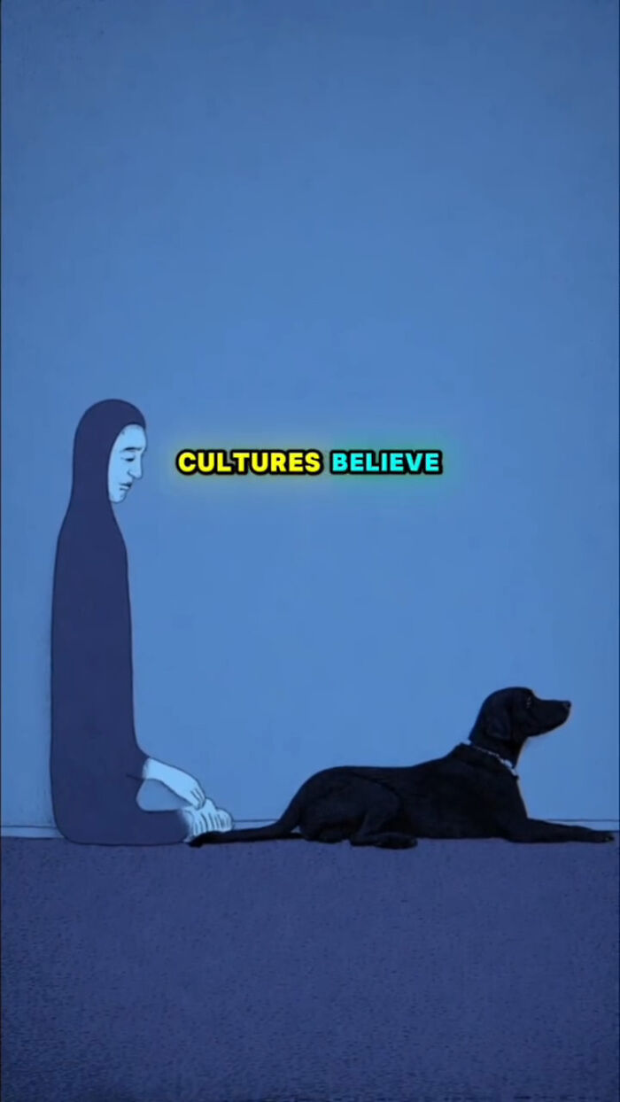Illustration of a person sitting on the floor next to a black dog, representing what dogs go through after their human passes.