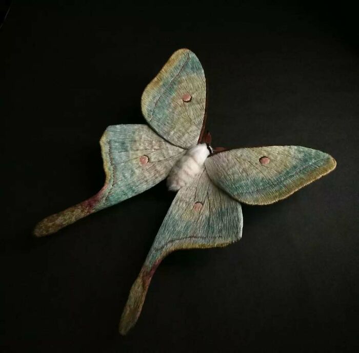 Embroidered fiber moth with detailed wings in shades of blue and green on a black background.