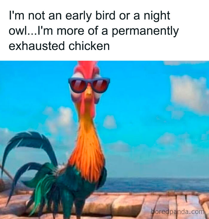 Animated rooster wearing sunglasses on a dock with a sarcastic meme about being a permanently exhausted chicken.