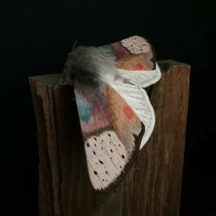 Embroidered fiber moth with detailed colorful wings resting on a wooden post against a dark background.