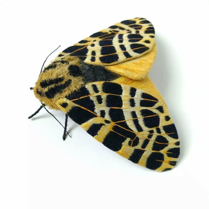Embroidered fiber moth with intricate black and yellow patterns showcasing detailed textile art by Yumi Okita.