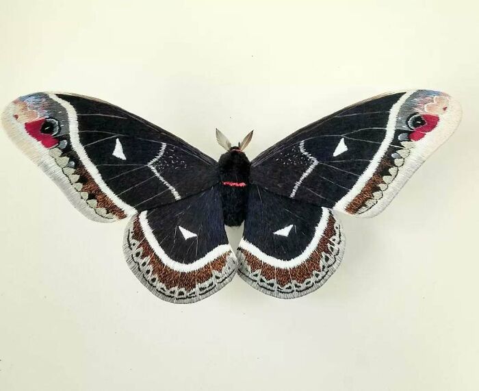 Embroidered fiber moth with detailed black, white, and brown patterns showcasing delicate textile art craftsmanship.