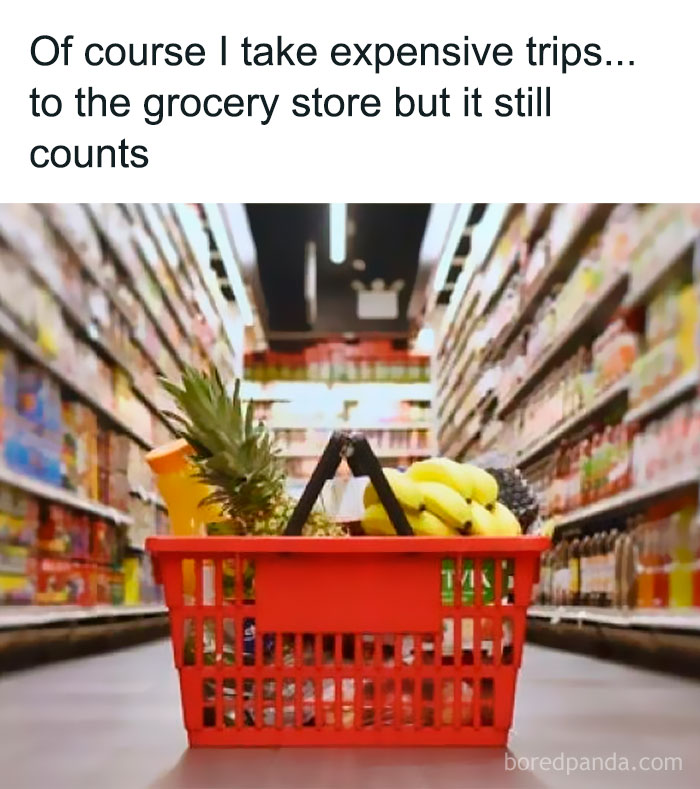 Sarcastic meme with grocery basket in aisle, humorously referring to expensive trips and sarcastic memes shared online.
