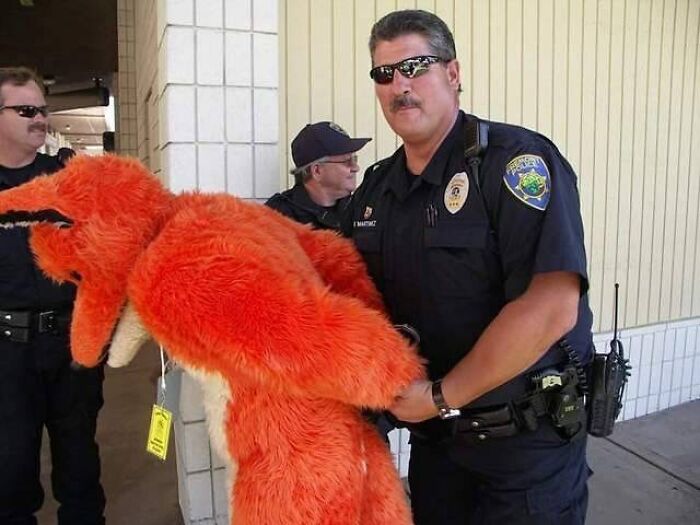Police officer handcuffing a person in a bright orange fuzzy costume in a cursed image for a weird break.