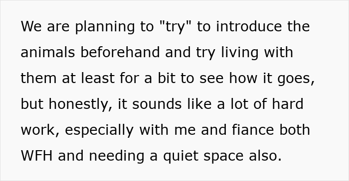 Rottweiler Owner Asks If She&rsquo;s Being Unreasonable To Want To Get Rid Of Fianc&eacute;&rsquo;s Cats