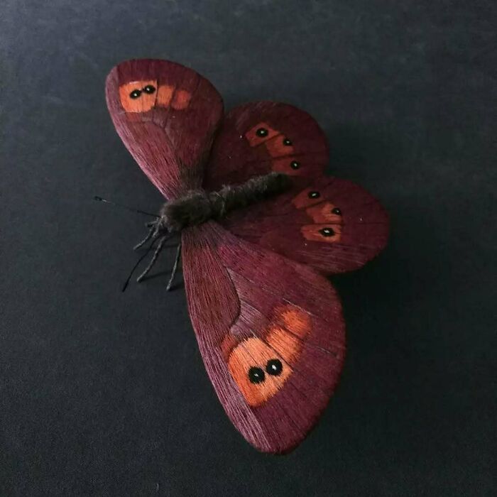 Embroidered fiber moth with detailed wing patterns in red and orange tones on a dark background.