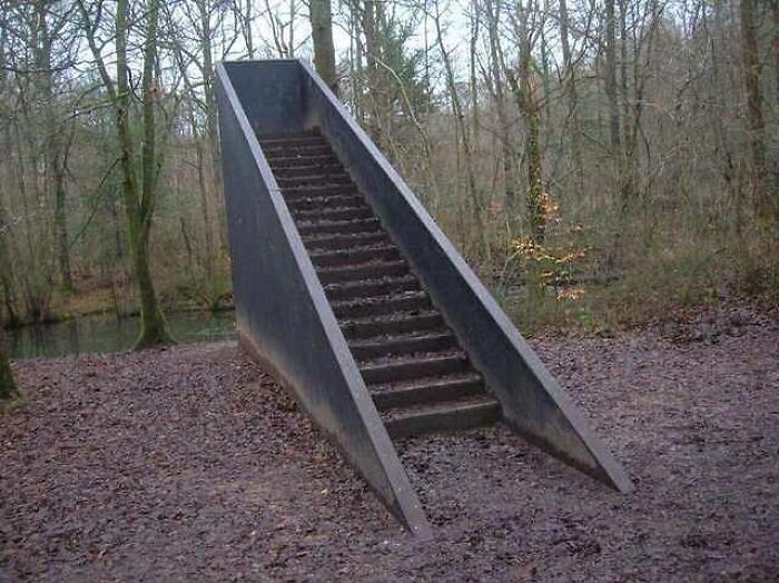 Concrete stairs ending abruptly in the middle of a forest, creating a cursed image that challenges perception and logic.