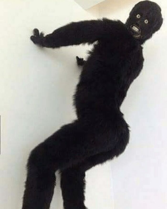 Person in a black furry costume with wide eyes and bared teeth leaning against a white wall in a cursed image style.