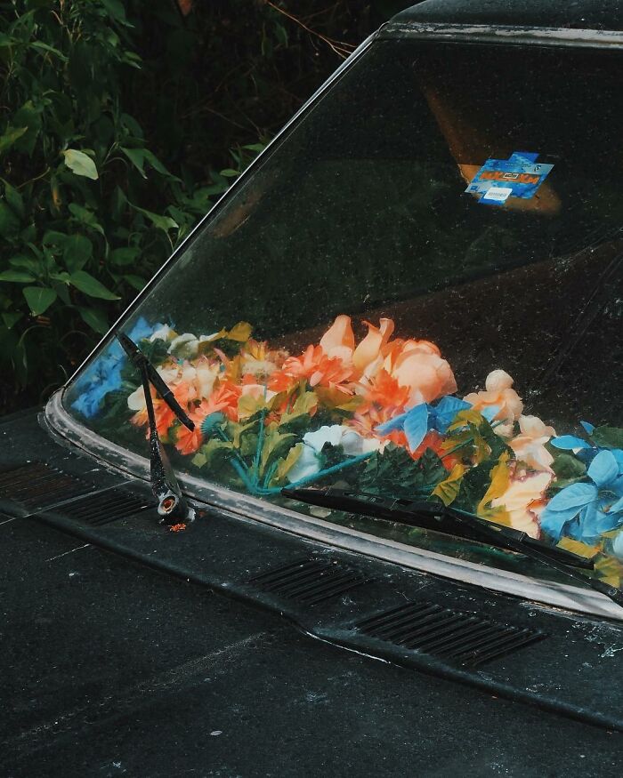 Car windshield filled with colorful flowers as a creative photo manipulation inviting surreal reality.
