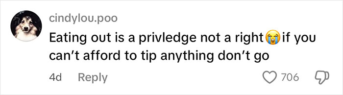 Comment on social media expressing frustration about tipping culture and waitress upset after reviewing tips for the day. Comment on social media expressing frustration about tipping culture and waitress upset after reviewing tips for the day.