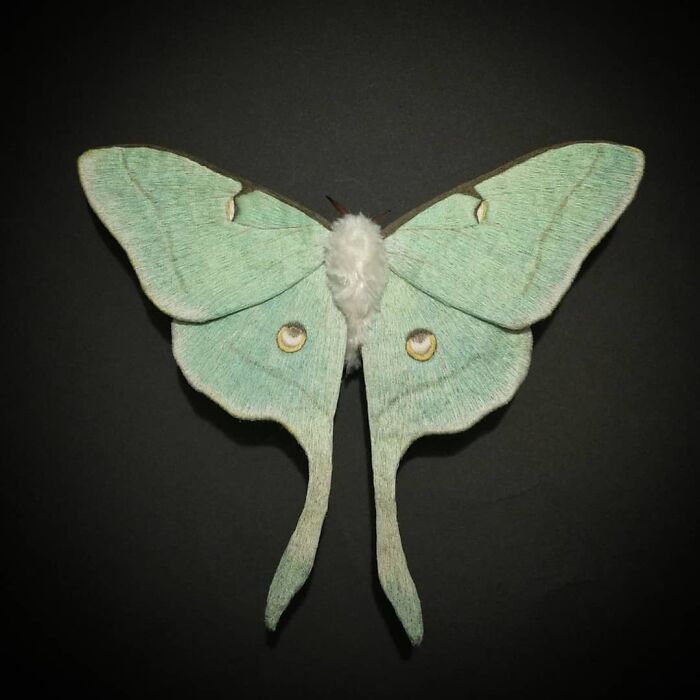 Embroidered fiber moth with delicate pale green wings and detailed stitching on a dark background.