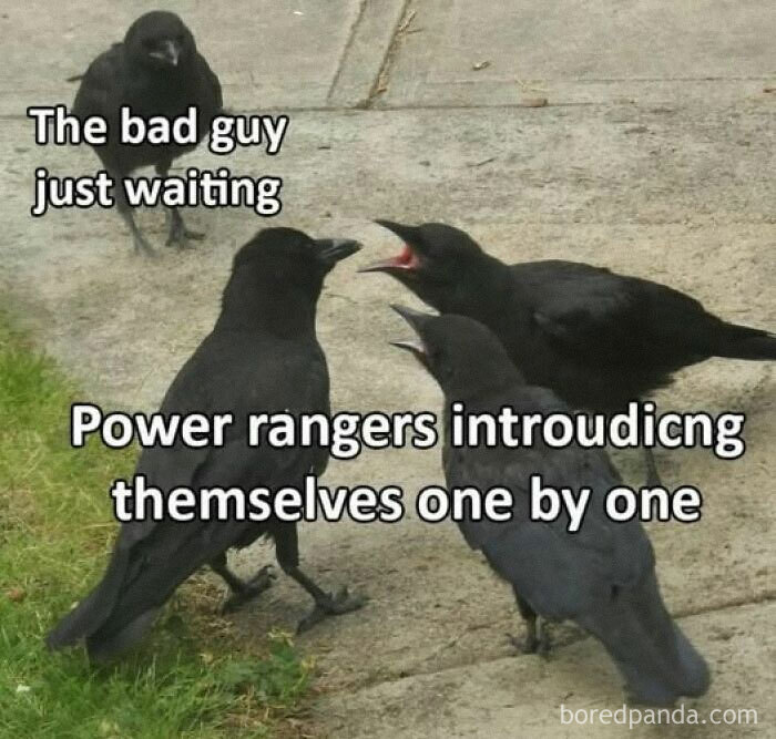 Four crows with text captions creating a hilarious meme about Power Rangers introducing themselves one by one.