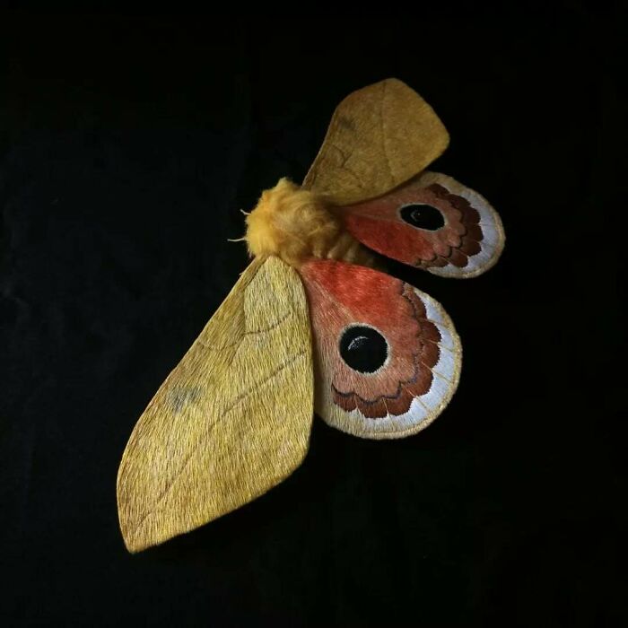 Embroidered fiber moth with detailed wings in yellow, orange, and brown shades on a dark background.