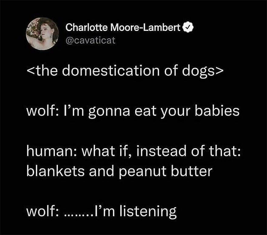 Funny Twitter post from comedians joking about dog domestication involving wolves, blankets, and peanut butter.