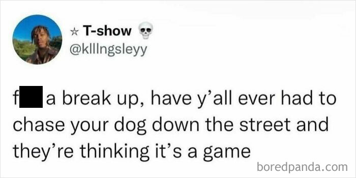 Screenshot of a humorous tweet with thoughts to occupy your brain while showering about chasing a dog who thinks it's a game.