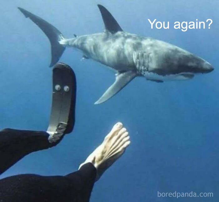 Underwater scene showing a shark facing a diver's legs with flippers, captioned with sarcastic meme text.
