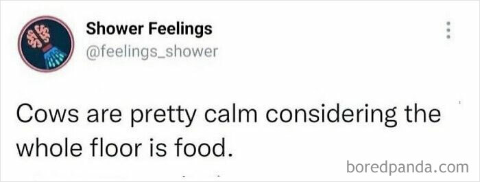 Social media post with a funny shower thought about cows being calm despite the floor being food, relating to shower thoughts.