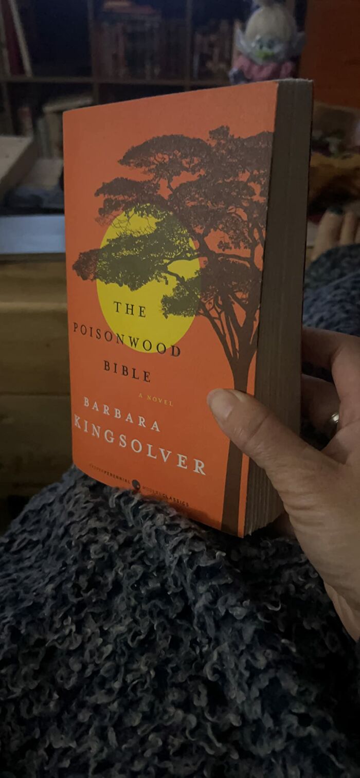 40 Times People Read A Book And Were In Awe