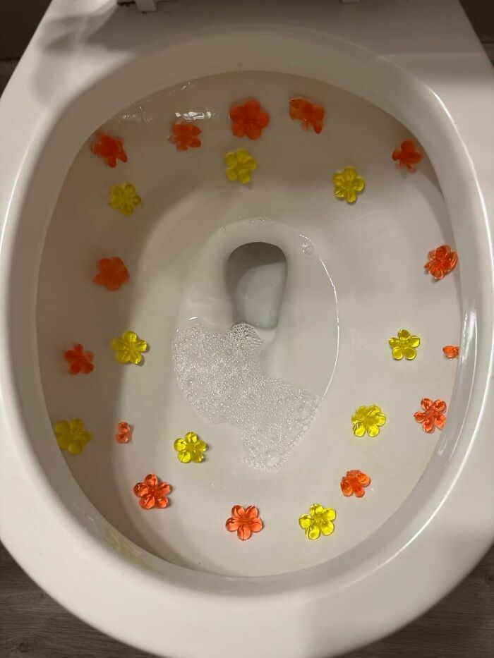Toilet bowl decorated with colorful flower-shaped gels, a creative find for people who want to nail adulting.