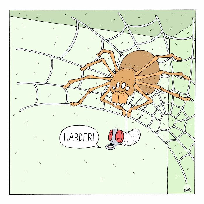 Cartoon comic of talking bugs with a spider and larva, capturing humor and existential dread in a web setting.