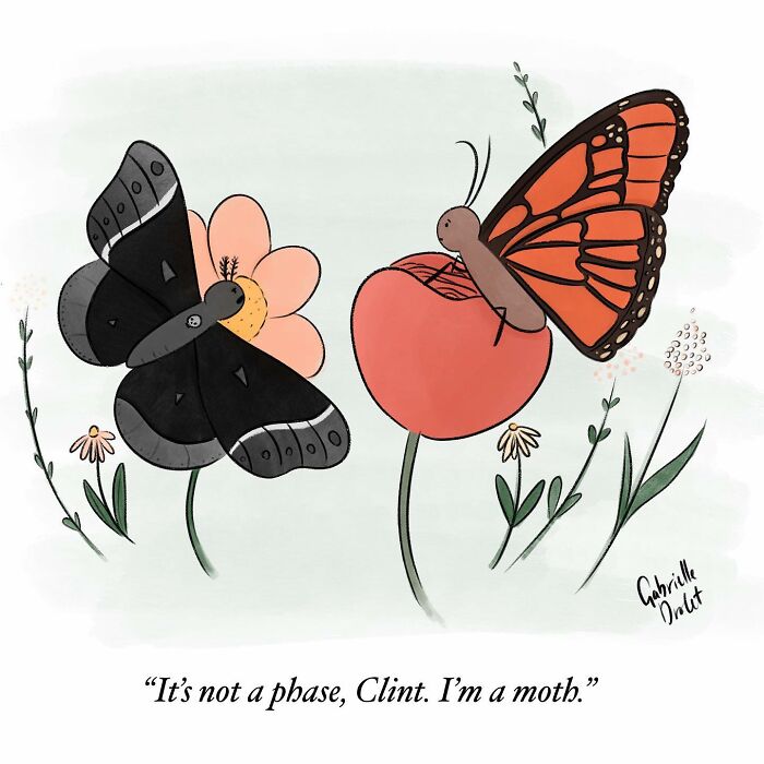 Wholesome comic illustration of a moth and butterfly on flowers with a witty twist on daily moments by Gabrielle Drolet.