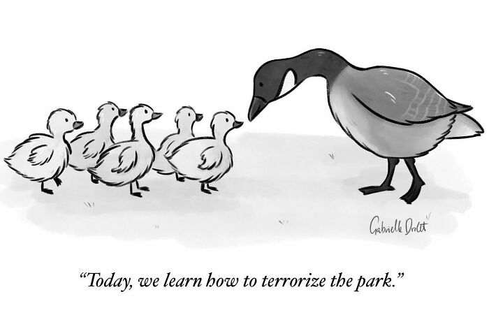 Black and white wholesome comic by Gabrielle Drolet showing a goose teaching goslings with a witty twist on daily moments.