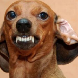 hunterscott_1 avatar