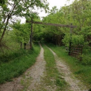 stephaniecole_1 avatar