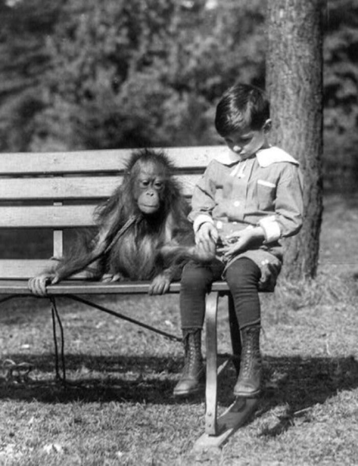 Boy sitting on a bench holding hands with a young orangutan, showing life in America from 100 years ago.