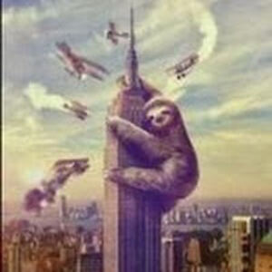 matthewholevinski avatar