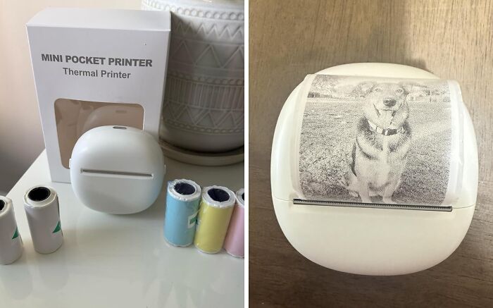 Compact mini pocket printer on desk next to colorful thermal paper rolls, printing a black-and-white dog photo.