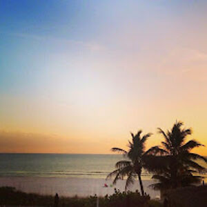 patriciajones_6 avatar