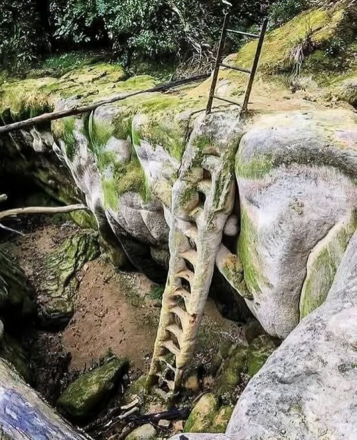 Ancient carved stone ladder covered in moss in a rocky terrain, showcasing unique archaeology and architecture features.