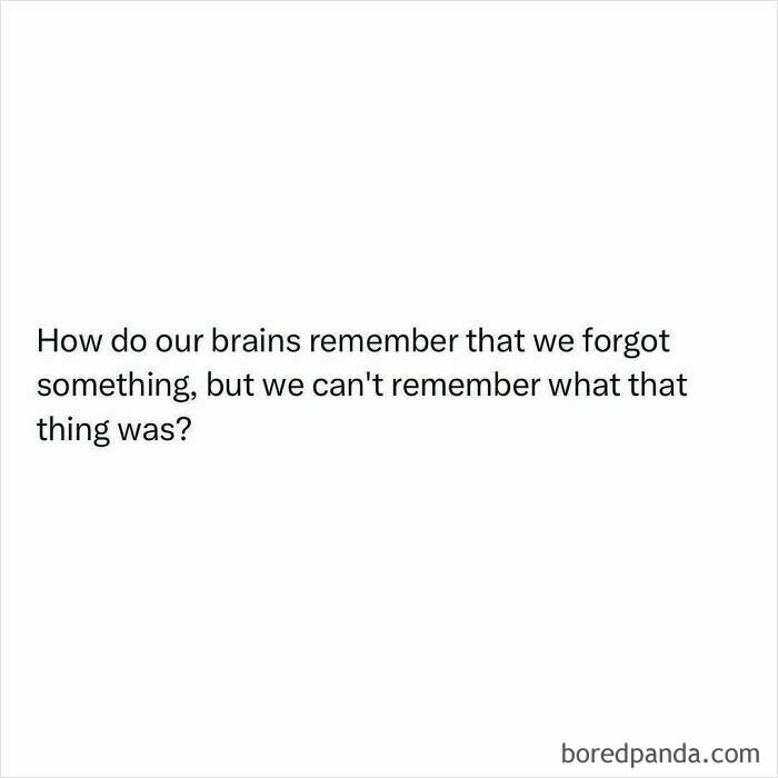 Text image displaying a funny and random shower thought about the brain remembering forgetting but not what was forgotten.