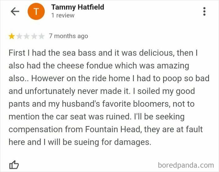 Customer leaves absurd review blaming restaurant for ruining clothes and car seat after eating and a bad ride home.