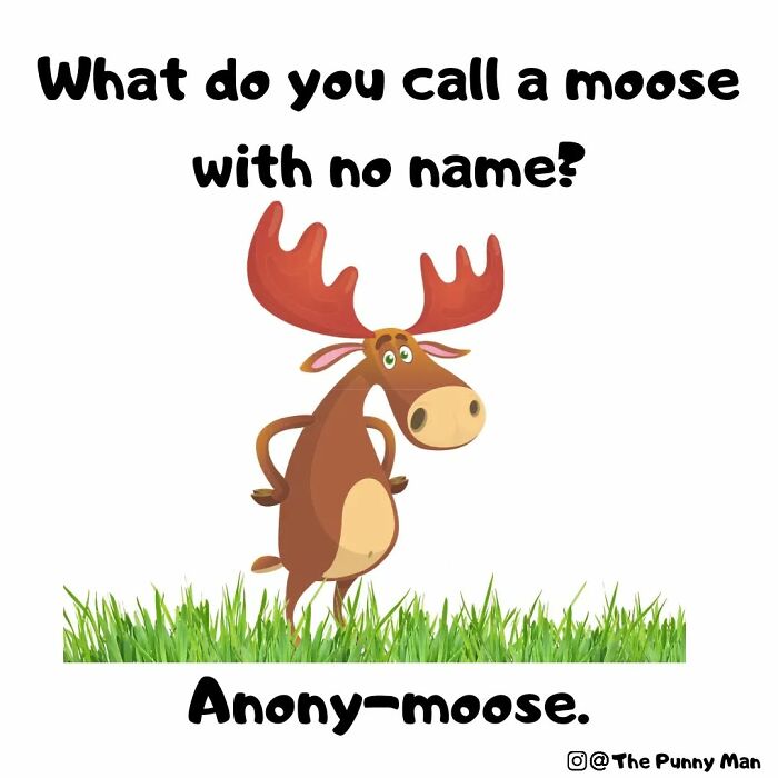 Cartoon moose standing on grass with a pun joke about a moose with no name from funny comics based on puns.