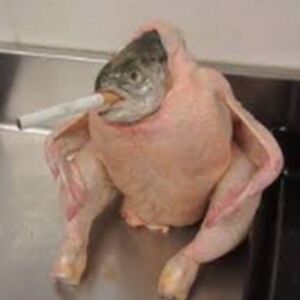 cortlo1cortlo1 avatar