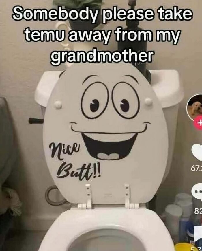 Toilet seat with a funny face and text saying nice b**t, featured in cringey pictures shared on Instagram accounts.