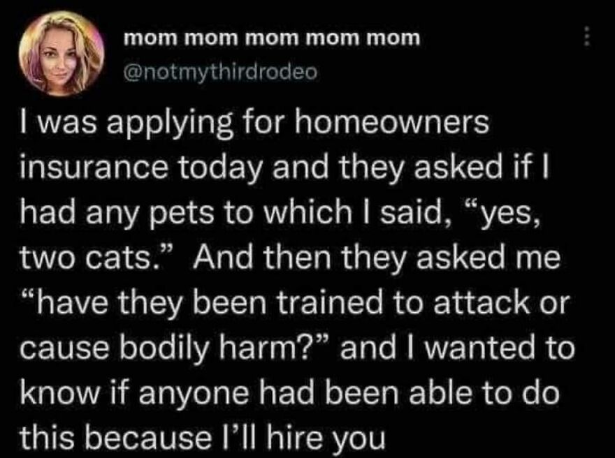 Tweet from a Twitter comedian sharing a funny story about applying for homeowners insurance and pets.