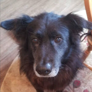 rebeccapodleckis avatar