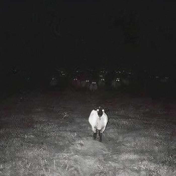 A lone sheep with glowing eyes stands in the dark, surrounded by pairs of cursed glowing eyes in the distance.