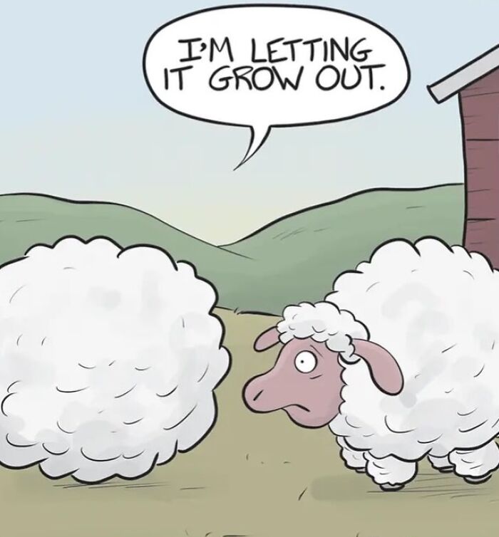One-panel comic by Nate Fakes showing a sheep saying I'm letting it grow out with a woolly sheep nearby.