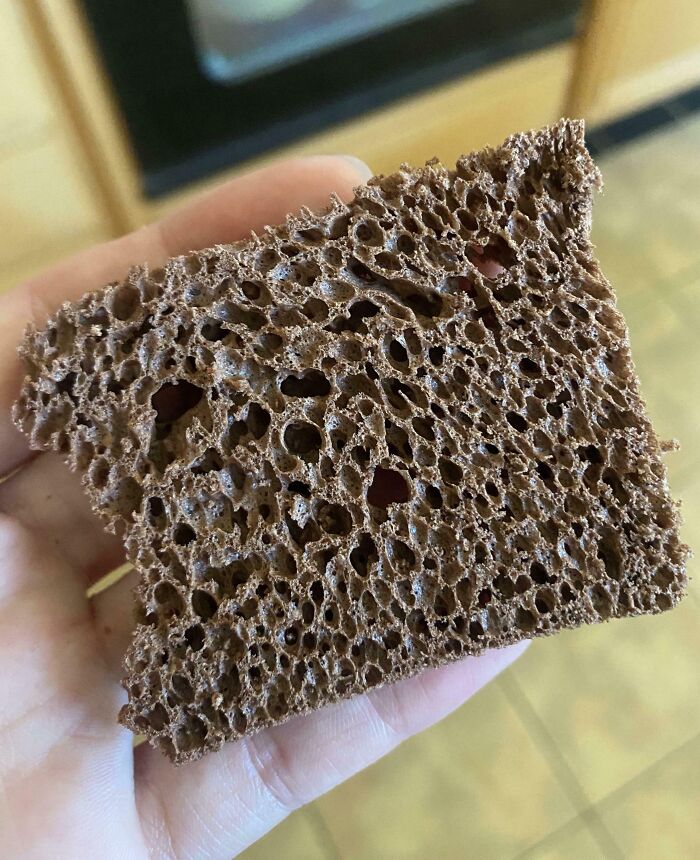 Close-up of a hand holding an oddly spongy chocolate cake fail, highlighting a hilarious cooking fail accident.