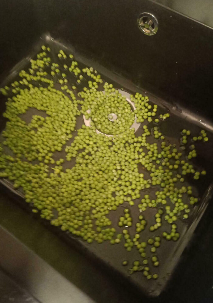 Green peas spilled all over the kitchen sink, showcasing a common cooking fail and accidental mess.