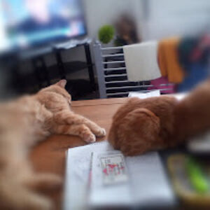 sarahbaldwin_3 avatar