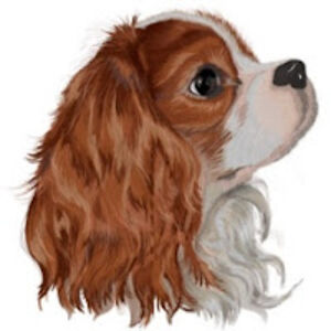 shivangisharma_1 avatar