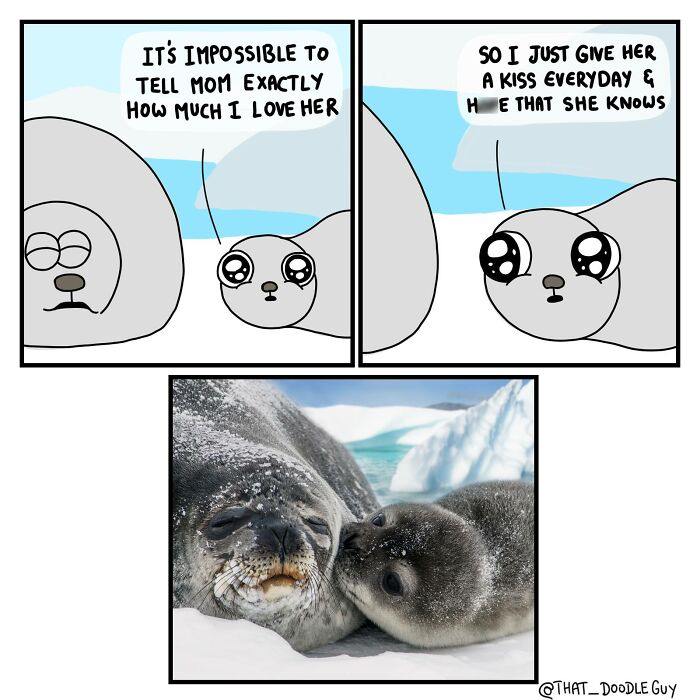 Cute animal comic showing a seal pup expressing love with a kiss and a real seal pup kissing its mother on ice.