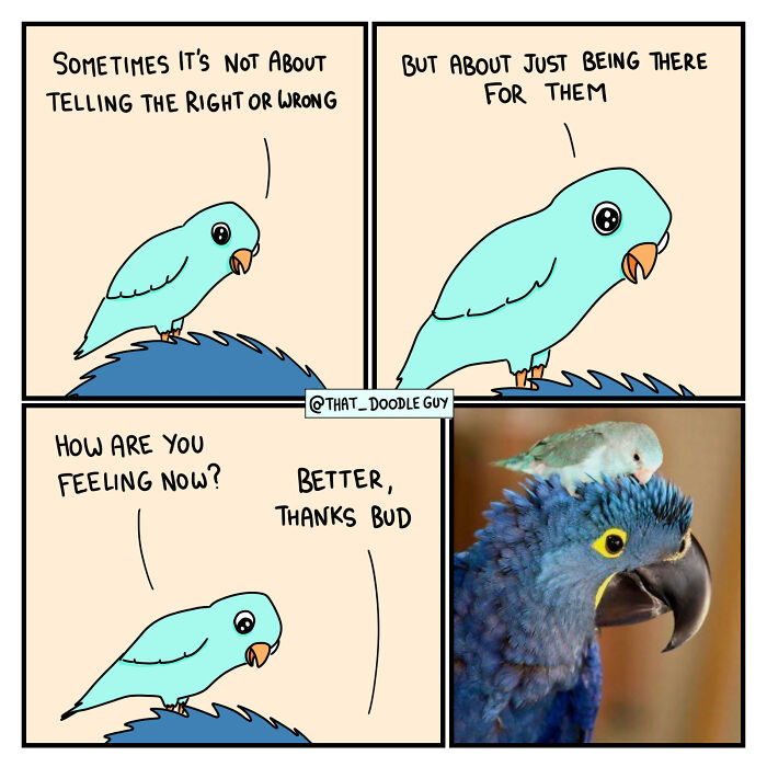 Cute animal comic panels showing a small blue bird comforting a larger blue parrot, illustrating adorable animal friendship.