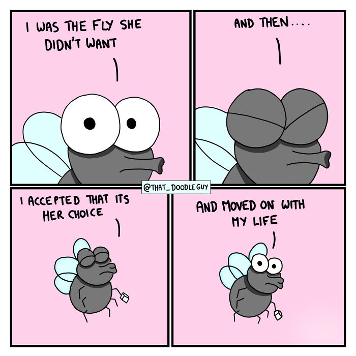 Cute animal comic panels featuring a fly reflecting on acceptance and moving on with life in a simple, colorful style.